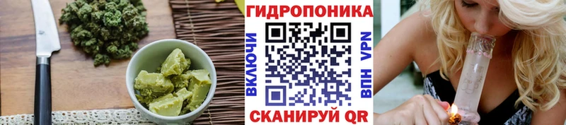 закладка Брюховецкая Cannafood конопля