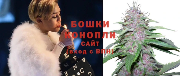 PSILOCYBIN Абаза