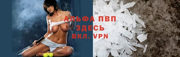 PSILOCYBIN Абаза