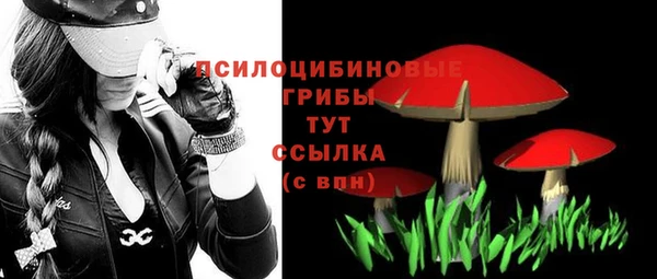 амф Алексин