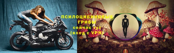 твердый Магадан